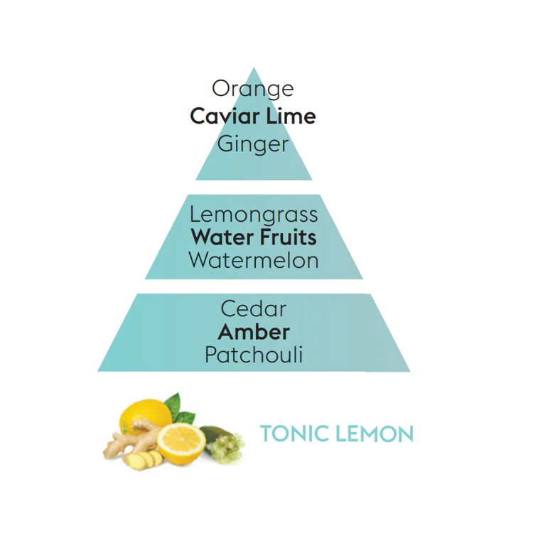 olfactorypyramid_pyramideolfactive_toniclemon_citrontonique_us_2048x