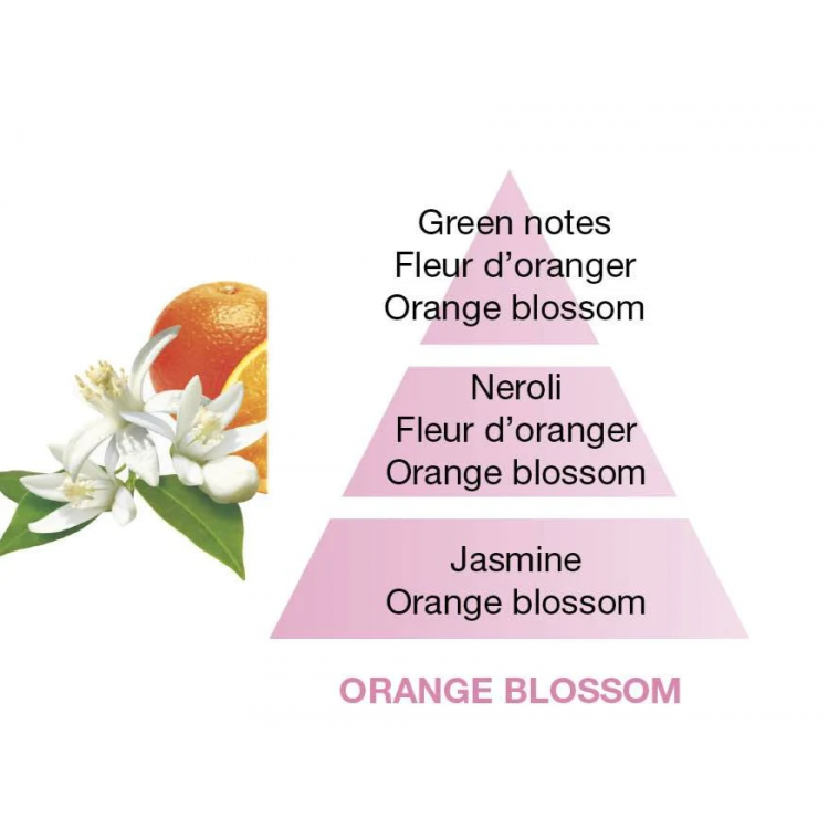 orangeblossomgb_3b48b010-802a-42b2-9720-26868e93c2f8_2048x