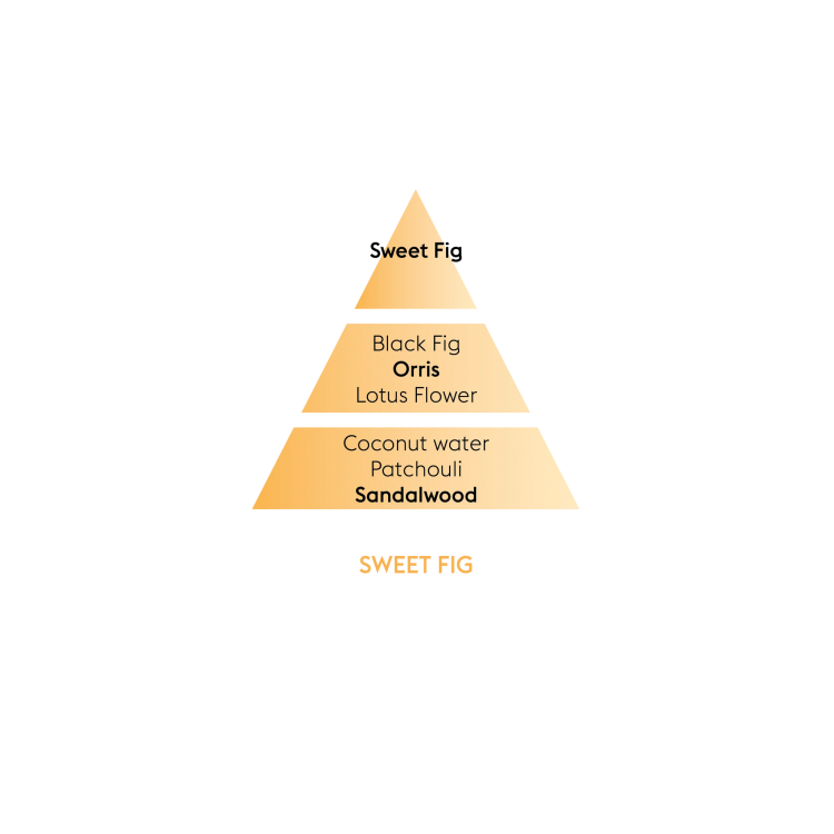 pyramides2021-en-sweetfig_7a437c9b-95d9-48ef-841a-974158c05417_2048x